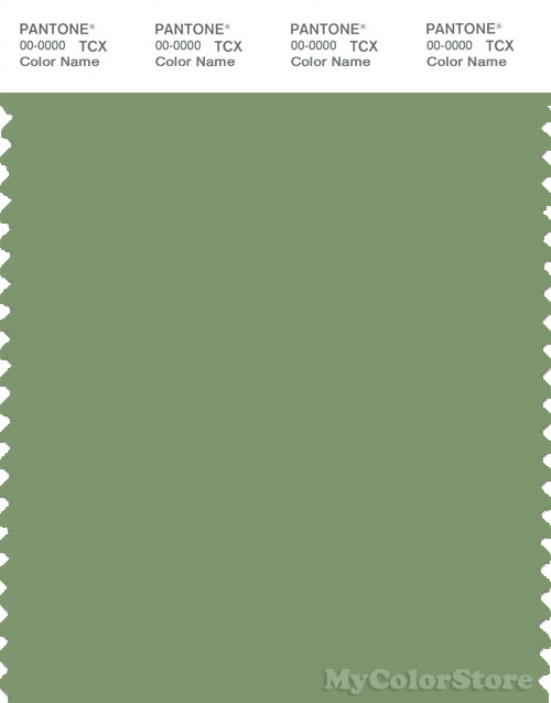 PANTONE SMART 16-0224X Color Swatch Card, Green Eyes