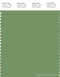 PANTONE SMART 16-0228X Color Swatch Card, Jade Green