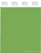PANTONE SMART 16-0235X Color Swatch Card, Kiwi