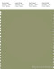 PANTONE SMART 16-0421X Color Swatch Card, Sage