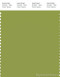 PANTONE SMART 16-0439X Color Swatch Card, Spinach Green