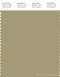 PANTONE SMART 16-0518X Color Swatch Card, Gray Green