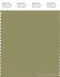 PANTONE SMART 16-0526X Color Swatch Card, Cedar