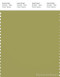 PANTONE SMART 16-0532X Color Swatch Card, Moss