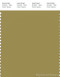 PANTONE SMART 16-0632X Color Swatch Card, Willow