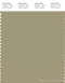 PANTONE SMART 16-0713X Color Swatch Card, Slate Green