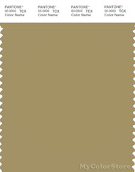PANTONE SMART 16-0726X Color Swatch Card, Khaki