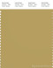 PANTONE SMART 16-0730X Color Swatch Card, Antique Gold