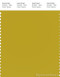 PANTONE SMART 16-0840X Color Swatch Card, Antique Moss