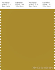 PANTONE SMART 16-0847X Color Swatch Card, Light Olive Green