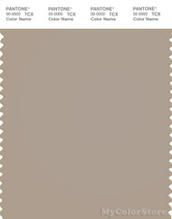 PANTONE SMART 16-0906X Color Swatch Card, Simply Taupe