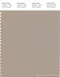 PANTONE SMART 16-0906X Color Swatch Card, Simply Taupe