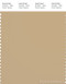 PANTONE SMART 16-0924X Color Swatch Card, Croissant