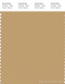 PANTONE SMART 16-0928X Color Swatch Card, Curry
