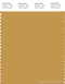 PANTONE SMART 16-0945X Color Swatch Card, Tinsel