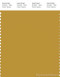 PANTONE SMART 16-0946X Color Swatch Card, Honey