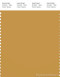 PANTONE SMART 16-0950X Color Swatch Card, Narcissus