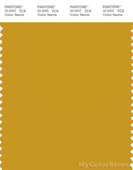 PANTONE SMART 16-0952X Color Swatch Card, Nugget Gold