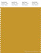 PANTONE SMART 16-0953X Color Swatch Card, Tawny Olive