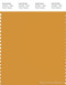 PANTONE SMART 16-1054X Color Swatch Card, Sunflower