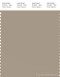 PANTONE SMART 16-1106X Color Swatch Card, Tuffet