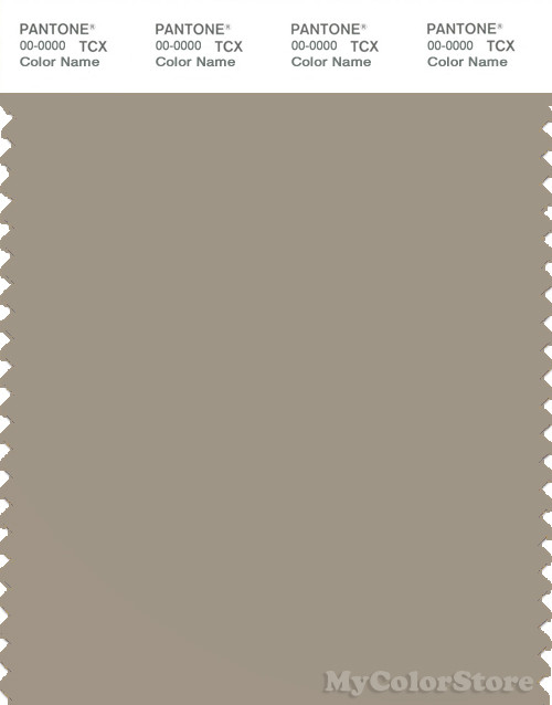 PANTONE SMART 16-1107X Color Swatch Card, Aluminum