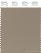 PANTONE SMART 16-1109X Color Swatch Card, Greige