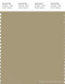 PANTONE SMART 16-1110X Color Swatch Card, Olive Gray