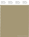 PANTONE SMART 16-1118X Color Swatch Card, Sponge