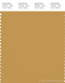 PANTONE SMART 16-1139X Color Swatch Card, Amber Gold