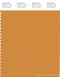 PANTONE SMART 16-1140X Color Swatch Card, Yam