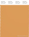 PANTONE SMART 16-1142X Color Swatch Card, Golden Nugget