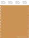PANTONE SMART 16-1143X Color Swatch Card, Honey Yellow
