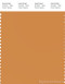 PANTONE SMART 16-1148X Color Swatch Card, Nugget