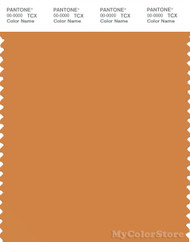 PANTONE SMART 16-1150X Color Swatch Card, Topaz