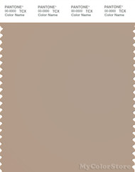 PANTONE SMART 16-1210X Color Swatch Card, Light Taupe