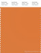 PANTONE SMART 16-1253X Color Swatch Card, Orange Ochre