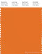 PANTONE SMART 16-1255X Color Swatch Card, Russett Orange