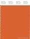 PANTONE SMART 16-1260X Color Swatch Card, Harvest Pumpkin