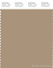 PANTONE SMART 16-1315X Color Swatch Card, Cornstalk