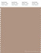 PANTONE SMART 16-1318X Color Swatch Card, Warm Taupe