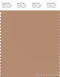 PANTONE SMART 16-1323X Color Swatch Card, Macaroon