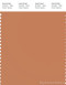 PANTONE SMART 16-1325X Color Swatch Card, Copper
