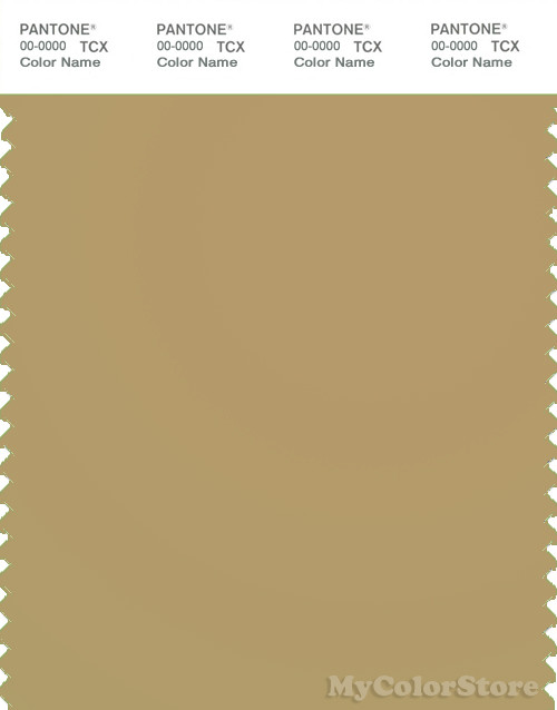 PANTONE SMART 16-1326X Color Swatch Card, Prairie Sand
