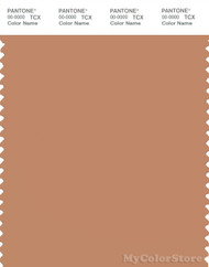 PANTONE SMART 16-1327X Color Swatch Card, Toasted Nut