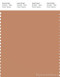 PANTONE SMART 16-1327X Color Swatch Card, Toasted Nut