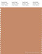 PANTONE SMART 16-1328X Color Swatch Card, Sandstone