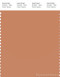 PANTONE SMART 16-1332X Color Swatch Card, Pheasant
