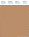 PANTONE SMART 16-1333X Color Swatch Card, Doe