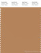 PANTONE SMART 16-1336X Color Swatch Card, Biscuit